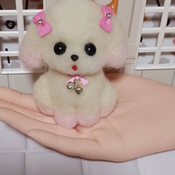 羊毛フェルト　ピンクリボンが似合うピンク染めマルチーズの画像