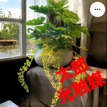 光触媒　人工観葉植物　ウォールグリーン　フェイクグリーン　モンステラ石花器54