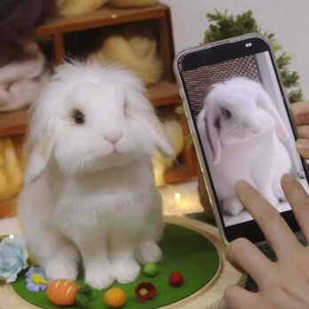 オーダーメイドペット】羊毛フェルトウサギ、うちの子 うさぎ、ぬいぐるみ、フェルト、肖像画、人形 プレゼントやギフトにのコピーの画像
