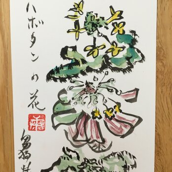 ポストカード　葉牡丹の花