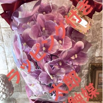 光触媒　人工観葉植物　ウォールグリーン　フェイクグリーン　胡蝶蘭6142aj