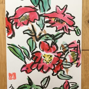 ポストカード　サザンカ