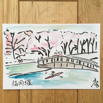 ポストカード　福岡堰の桜