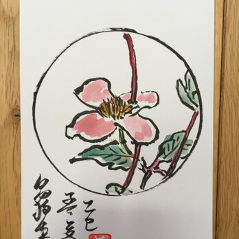 ポストカード　クレマチス