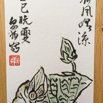 ポストカード　白蓮