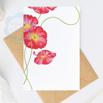 （１） 赤いポピー「花のポストカード」 3枚セット　