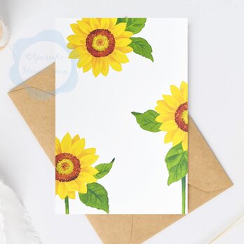 （2） 真夏のひまわり「花のポストカード」 3枚セット　