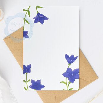 （6） 青紫のキキョウ「花のポストカード」 3枚セット
