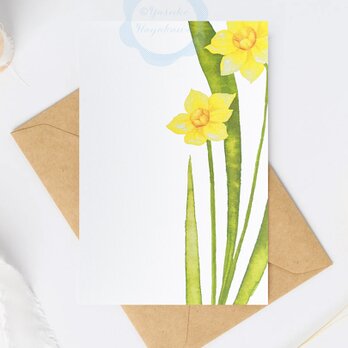 （８）早春の黄色いスイセン「花のポストカード」 3枚セット