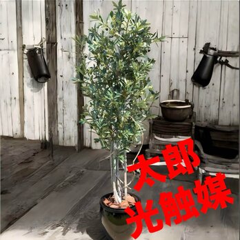 光触媒　人工観葉植物　ウォールグリーン　フェイクグリーン　オリーブtja