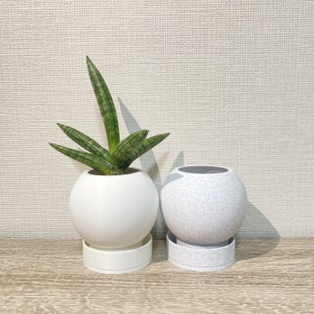 まあるいプランター（観葉植物・多肉植物用）の画像