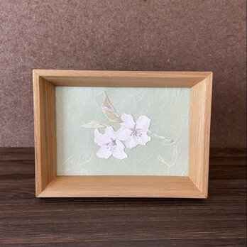 水彩画 | 桜（季節のうつろい）
