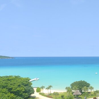 ane様ご注文ページ