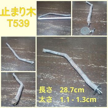 止まり木（枝：TOY-08-015）T539