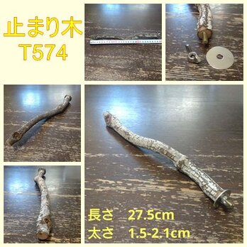 止まり木（枝：TOY-08-015）T574