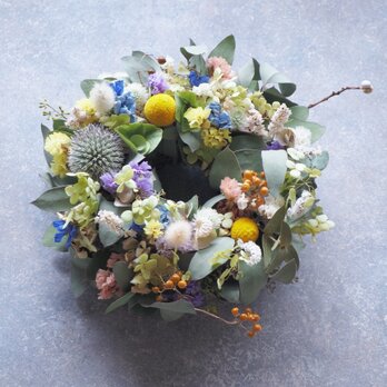 アナベルと草花のスペシャルミニリース