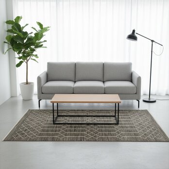 四季を楽しむオールシーズンラグ　ガゼニ ギャッベ　176x122㎝　BP206