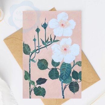 （20）白いバラ二輪　ポストカード　3枚セット