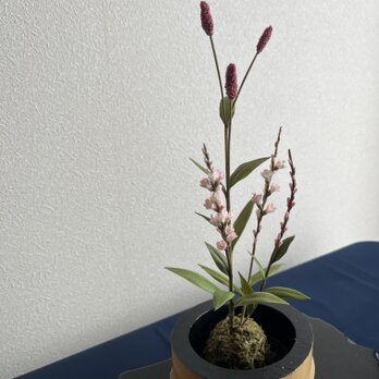 粘土の花　タデ