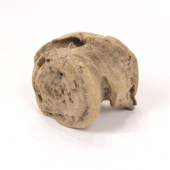 【温泉流木】コロリと置ける変形流木オブジェ002車輪 流木素材 インテリア素材 レイアウト素材