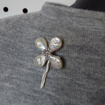 大人の四葉クローバー