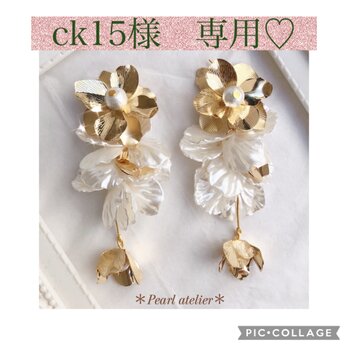 ＊ck15様　専用ページ＊