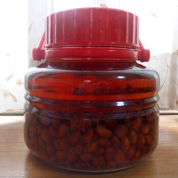 天然無農薬　びわの種濃厚エキス 180ml（2024年製造分）