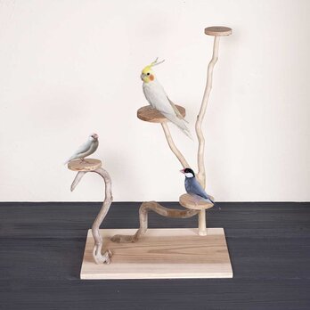 流木の止まり木【バードランドの子守歌】バードスタンド、止まり木、流木、流木アート、飾り棚、１２９