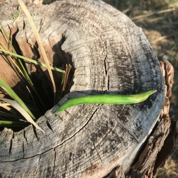 本革　カラスノエンドウ　豆　草　ブローチ