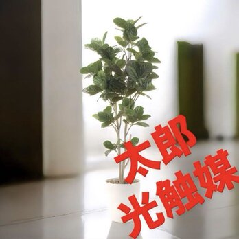 光触媒　人工観葉植物　ウォールグリーン　フェイクグリーン　パンの木125ptw