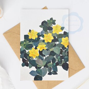 （32）ヒペリカムの花　ポストカード　3枚セット