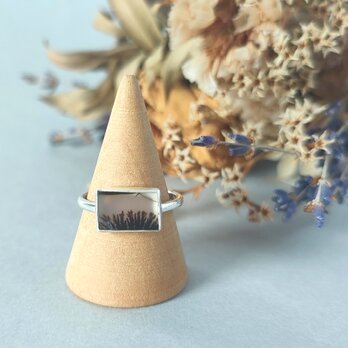 【1点もの】デンドリティックアゲート/アゲート/シダ模様/植物モチーフ/四角/覆輪/silver925/リング【14号】