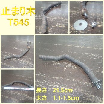 止まり木（枝：TOY-08-015）T545