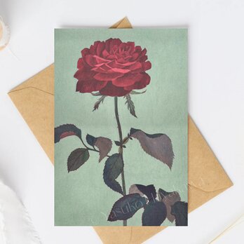 （37）一輪の真紅のバラ　ポストカード　3枚セット