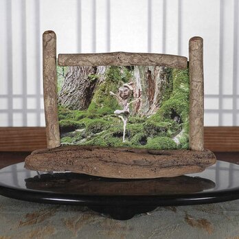 流木フォトスタンド　写真額　写真立て　木の額　　流木アート　木のインテリア　ナチュラルアート　１０２