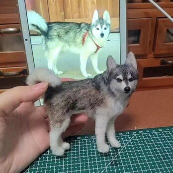 [オーダーメイド] 羊毛フェルト 犬 、ペット ぬいぐるみ、うちの子 人形、犬 似顔絵、愛犬 誕生日 プレゼント、犬好き 贈り物