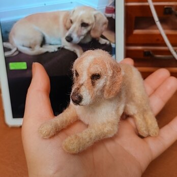 [オーダーメイド] 羊毛フェルト 犬 、ペット ぬいぐるみ、うちの子 人形、犬 似顔絵、愛犬 誕生日 プレゼント、犬好き 贈り物
