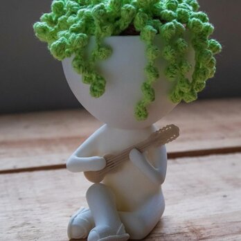 ロバート・プラントのチャランゴを持つ植木鉢