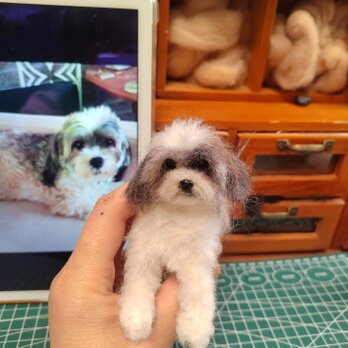 [オーダーメイド] 羊毛フェルト 犬 、ペット ぬいぐるみ、うちの子 人形、犬 似顔絵、愛犬 誕生日 プレゼント、犬好き 贈り物