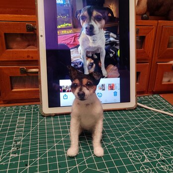 [オーダーメイド] 羊毛フェルト 犬 、ペット ぬいぐるみ、うちの子 人形、犬 似顔絵、愛犬 誕生日 プレゼント、犬好き 贈り物