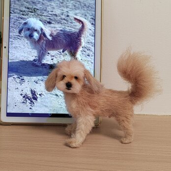 [オーダーメイド] 羊毛フェルト 犬 、ペット ぬいぐるみ、うちの子 人形、犬 似顔絵、愛犬 誕生日 プレゼント、犬好き 贈り物