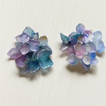 本物　アジサイ　ピアス〜Elfriede  〜妖精