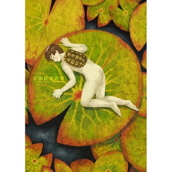 未草 : ジクレー版画 ／ Pygmy Water Lily : Giclee Print