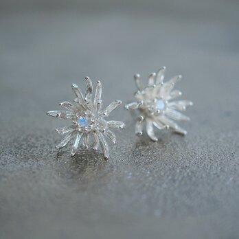 夜月の菊 *〜菊と月長石のピアス〜* (silver×Blue Moonstone)
