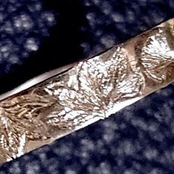 紅葉とイチョウのシルバーリング