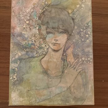 ゆきやなぎ