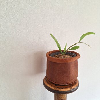 TOKOGAWA bucket   床革バケツ small　№tko006