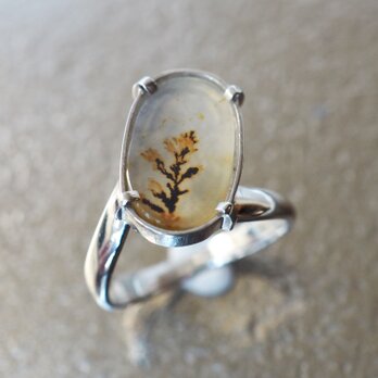 デンドリティックアゲートSilverリング 13号