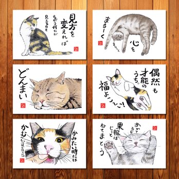 選べる「ねことば」ポストカード3枚セットB / 猫×筆文字アートで心なごむひととき
