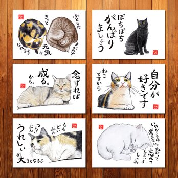 選べる「ねことば」ポストカード3枚セットC / 猫×筆文字アートで心なごむひととき